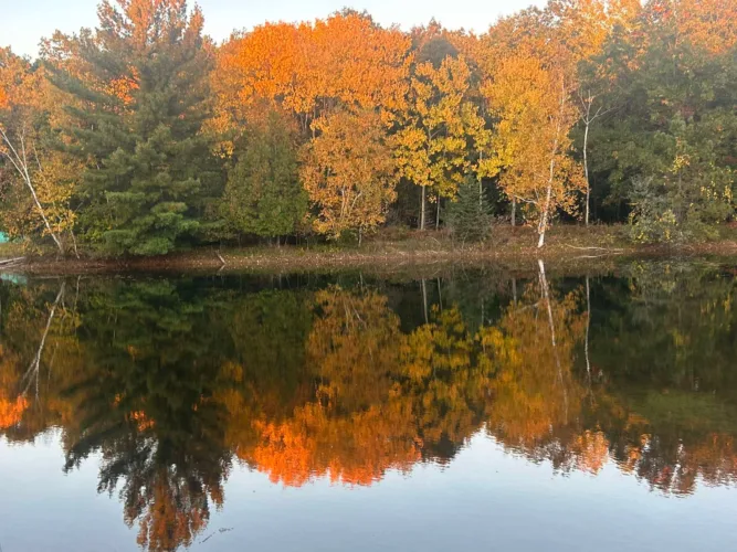 The perfect picture of fall